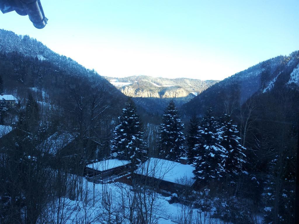 Villa Wellspacher Semmering Exterior foto