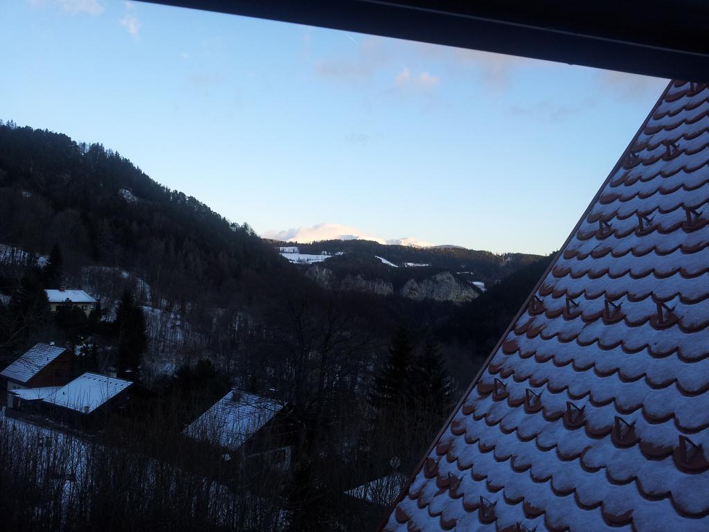 Villa Wellspacher Semmering Exterior foto